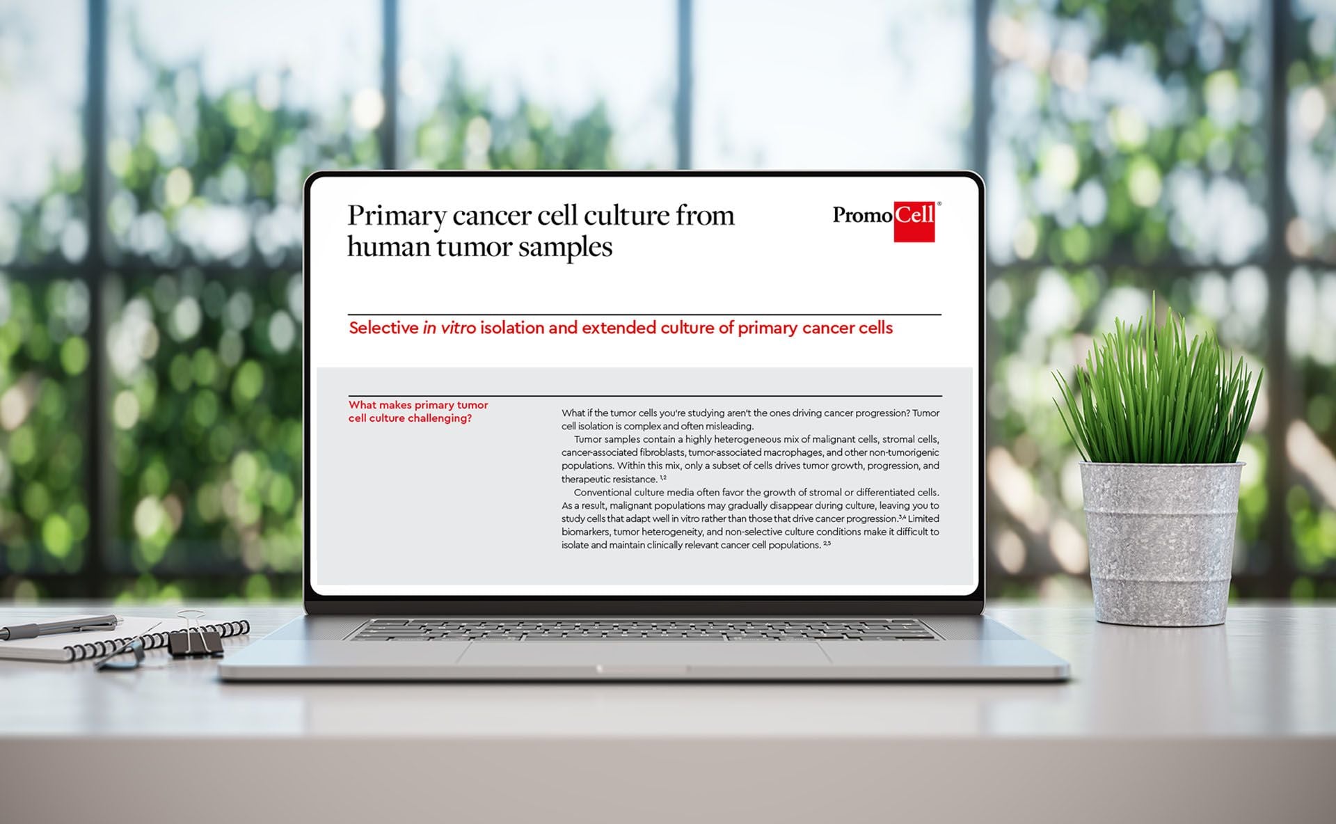 Primary cancer cell culture from human tumor samples product image
