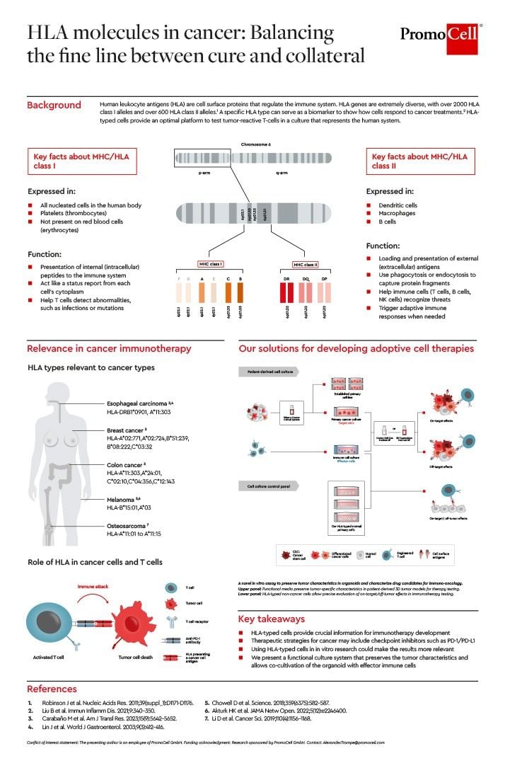 HLA molecules in cancer: Balancing the fine line between cure and collateral product image