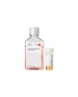 PromoCell Small Airway Epithelial Cell Growth Medium (Ready-to-use) product image