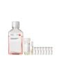 PromoCell Small Airway Epithelial Cell Growth Medium Kit product image