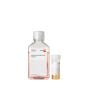PromoCell Smooth Muscle Cell Growth Medium 2 (Ready-to-use) product image
