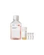 PromoCell Smooth Muscle Cell Growth Medium 2 Kit product image