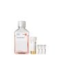 PromoCell Myocyte Growth Medium Kit product image