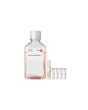 PromoCell Melanocyte Growth Medium Kit product image