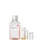 PromoCell Follicle Dermal Papilla Cell Growth Medium Kit product image