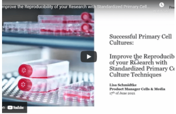 Improve the reproducibility of your research with standardized primary cell culture techniques