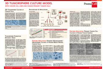 3D tumorsphere cell culture model