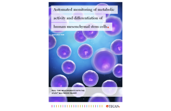 Automated monitoring of metabolic activity and differentiation of human mesenchymal stem cells