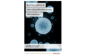 Real-time analysis of stem cell proliferation during differentiation