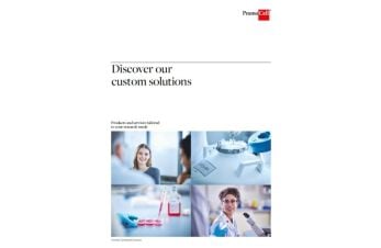 Discover our custom solutions
