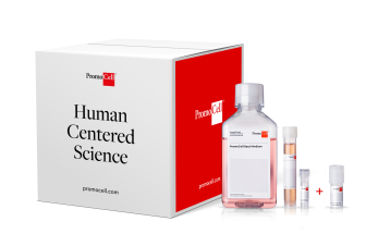 Cell KIT - Human Cardiac Myocyte