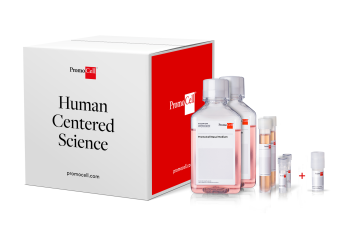 Cell KIT - Keratinocyte NHEK pooled donor juvenile Plus