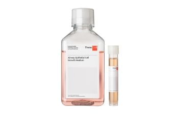 Airway Epithelial Cell Growth Medium (Ready-to-use)