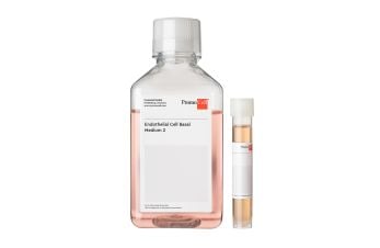 Endothelial Cell Growth Medium 2 (Ready-to-use)