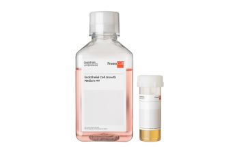 Endothelial Cell Growth Medium MV (Ready-to-use)