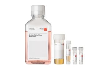 Endothelial Cell Growth Medium MV Kit