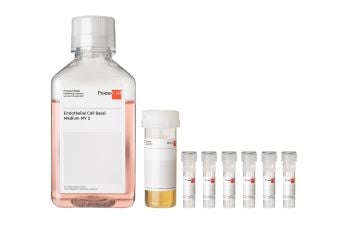 Endothelial Cell Growth Medium MV 2 Kit
