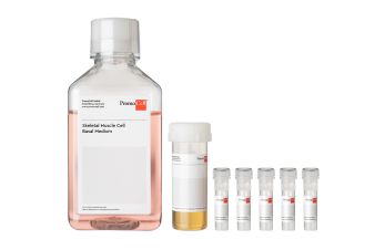 PromoCell Skeletal Muscle Cell Growth Medium Kit