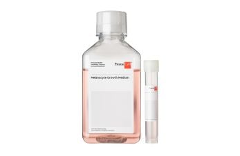 Melanocyte Growth Medium (Ready-to-use)