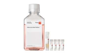 Melanocyte Growth Medium Kit