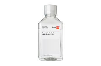 Renal Epithelial Cell Basal Medium 2, phenol red-free