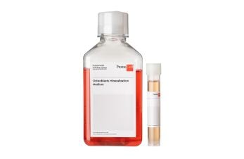 Osteoblast Mineralization Medium