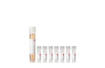 Endothelial Cell Growth Medium 2 SupplementPack