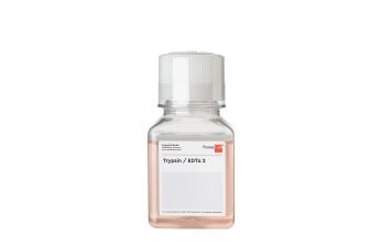 PromoCell Trypsin / EDTA 2 - 125 ml