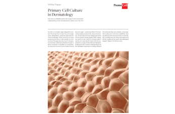 Primary cell culture in dermatology