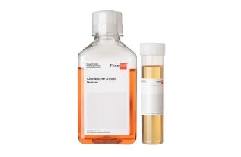Chondrocyte Growth Medium