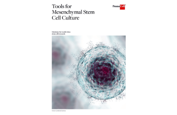 Tools for mesenchymal stem cell culture