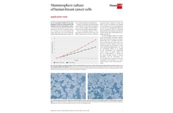 Mammosphere culture of human breast cancer cells