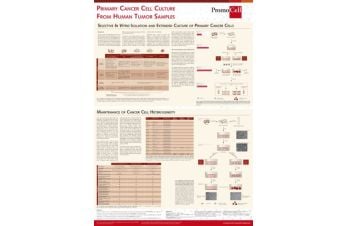 Primary cancer cell culture from human tumor samples