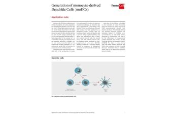 Generation of monocyte-derived Dendritic Cells (moDCs)
