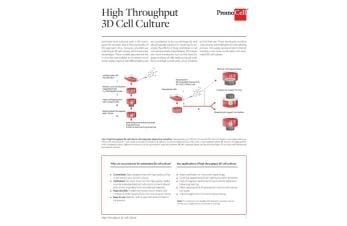 High throughput 3D cell culture