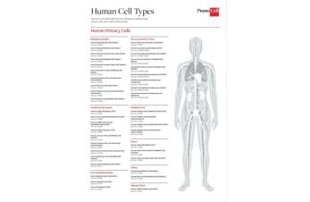 Human cell types