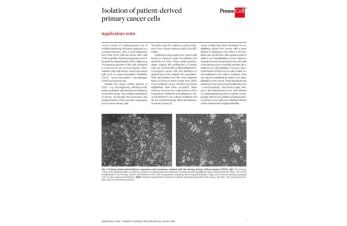Isolation of patient-derived primary cancer cells