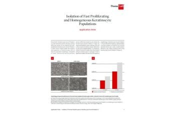 Isolation of fast proliferating and homogeneous keratinocyte populations