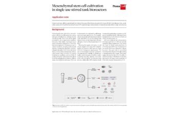MSC cultivation in single-use stirred tank bioreactors