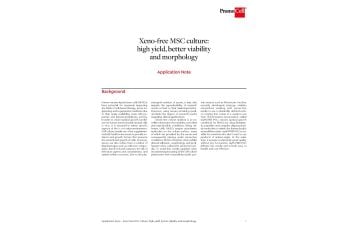 Xeno-free MSC culture: high yield, better viability and morphology