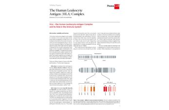 The human leukocyte antigen (HLA) complex
