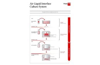 Air-liquid interface culture system overview
