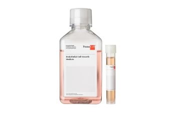 PromoCell Endothelial Cell Growth Medium (Ready-to-use)