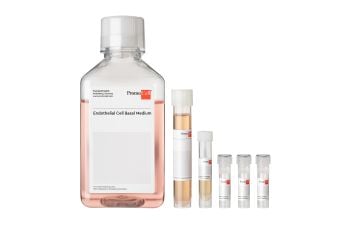 Endothelial Cell Growth Medium Kit