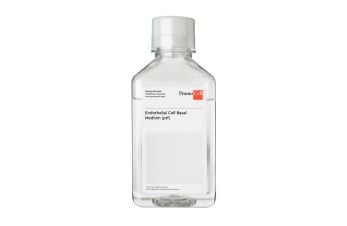Endothelial Cell Basal Medium, phenol red-free