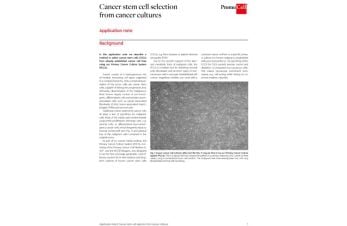 Cancer stem cell selection from cancer cultures