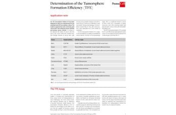 Determination of the Tumorsphere Formation Efficiency (TFE)