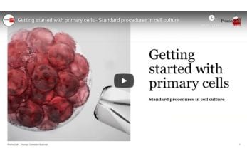 Getting started with primary cells – Standard procedures in cell culture