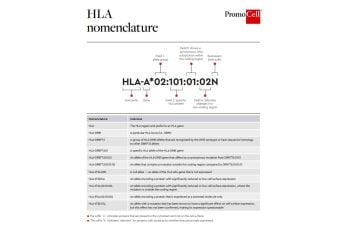 HLA nomenclature guide