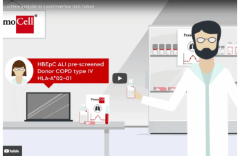 How to achieve a reliable Air-Liquid Interface (ALI) Culture